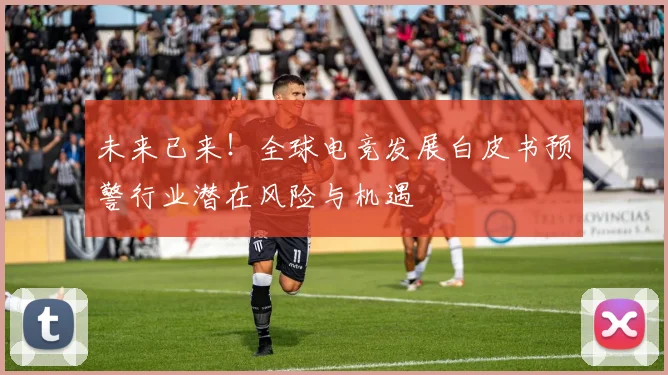 未来已来！全球电竞发展白皮书预警行业潜在风险与机遇